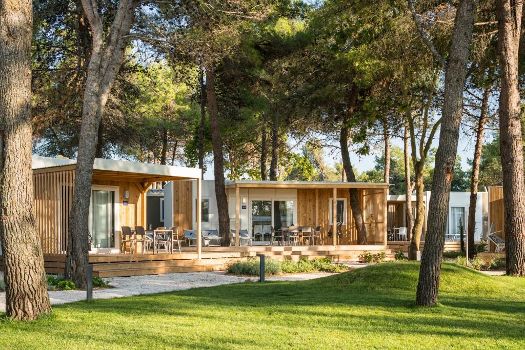 falkemìnsteiner borik premium camp3